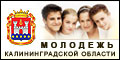 molod120x60